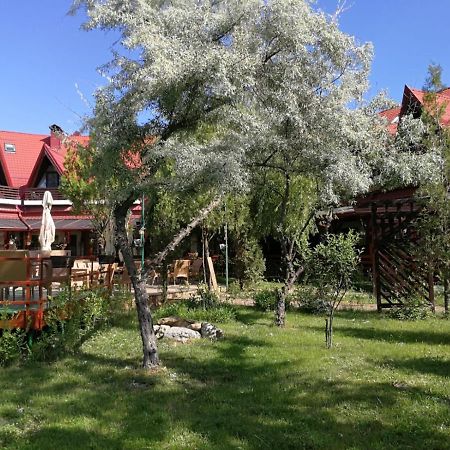 Отель Pensiunea Casa Matei Berca Экстерьер фото