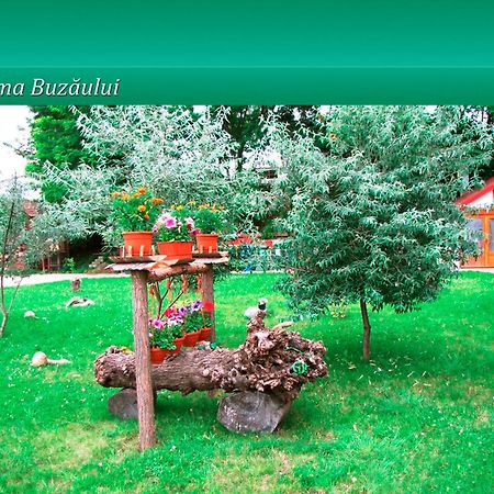 Отель Pensiunea Casa Matei Berca Экстерьер фото