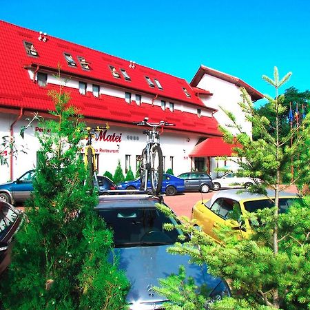 Отель Pensiunea Casa Matei Berca Экстерьер фото