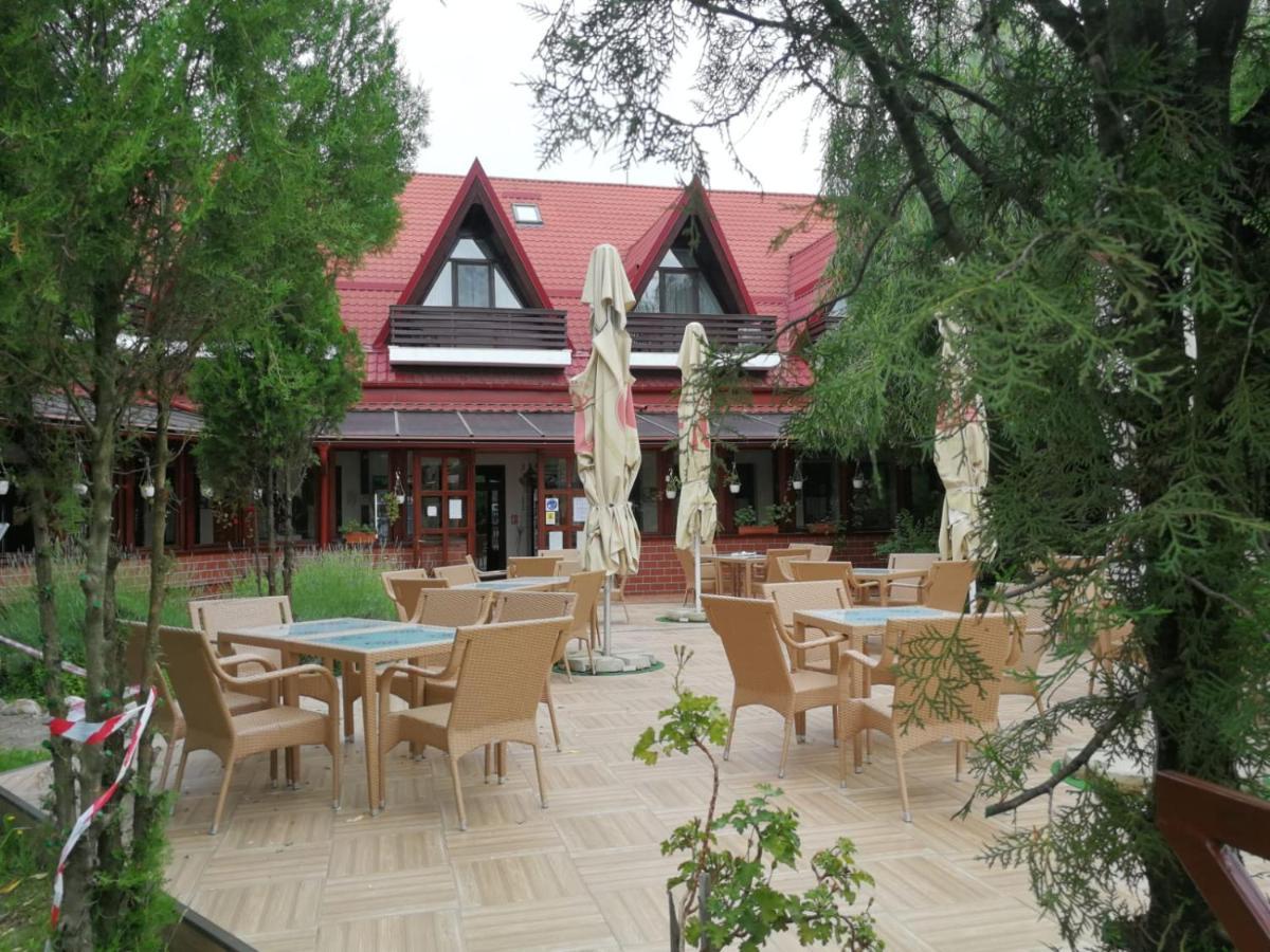 Отель Pensiunea Casa Matei Berca Экстерьер фото