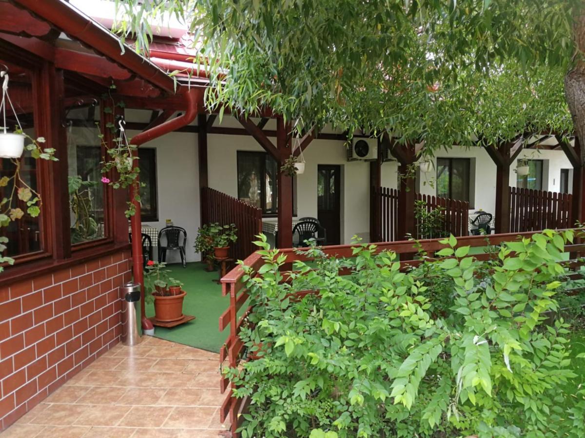 Отель Pensiunea Casa Matei Berca Экстерьер фото