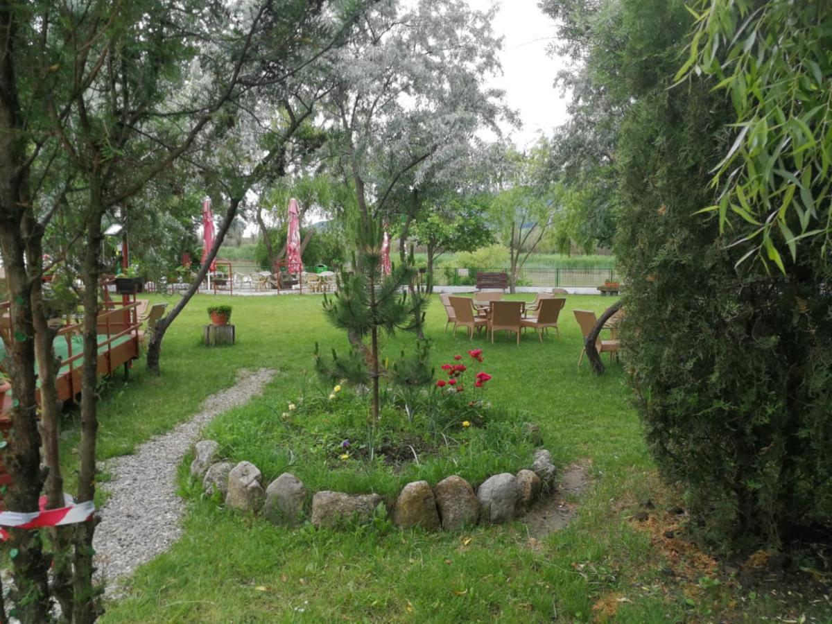 Отель Pensiunea Casa Matei Berca Экстерьер фото