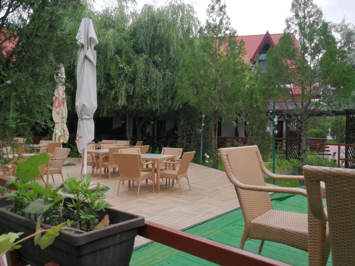 Отель Pensiunea Casa Matei Berca Экстерьер фото