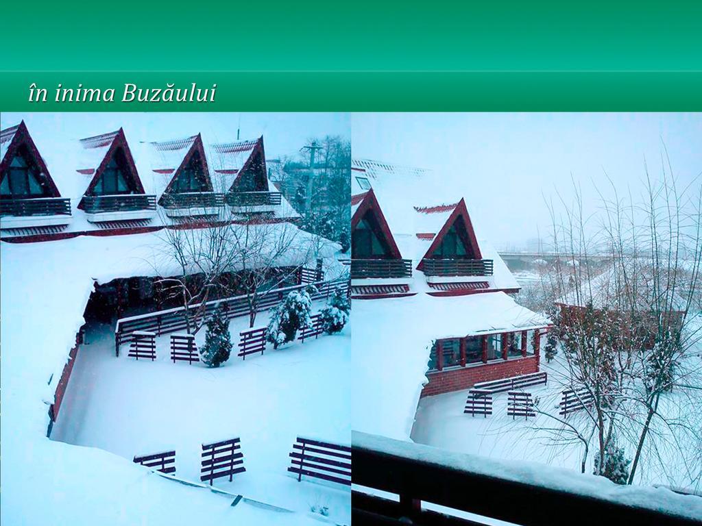 Отель Pensiunea Casa Matei Berca Экстерьер фото