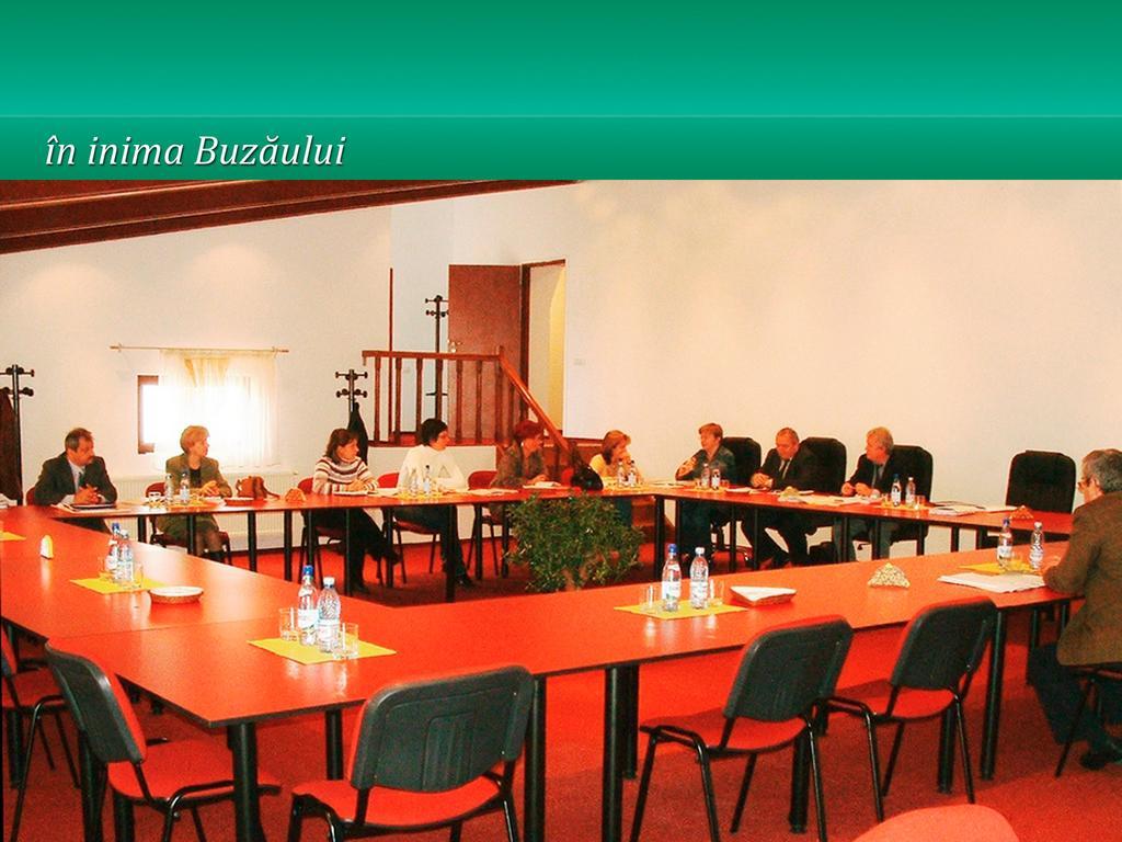 Отель Pensiunea Casa Matei Berca Экстерьер фото