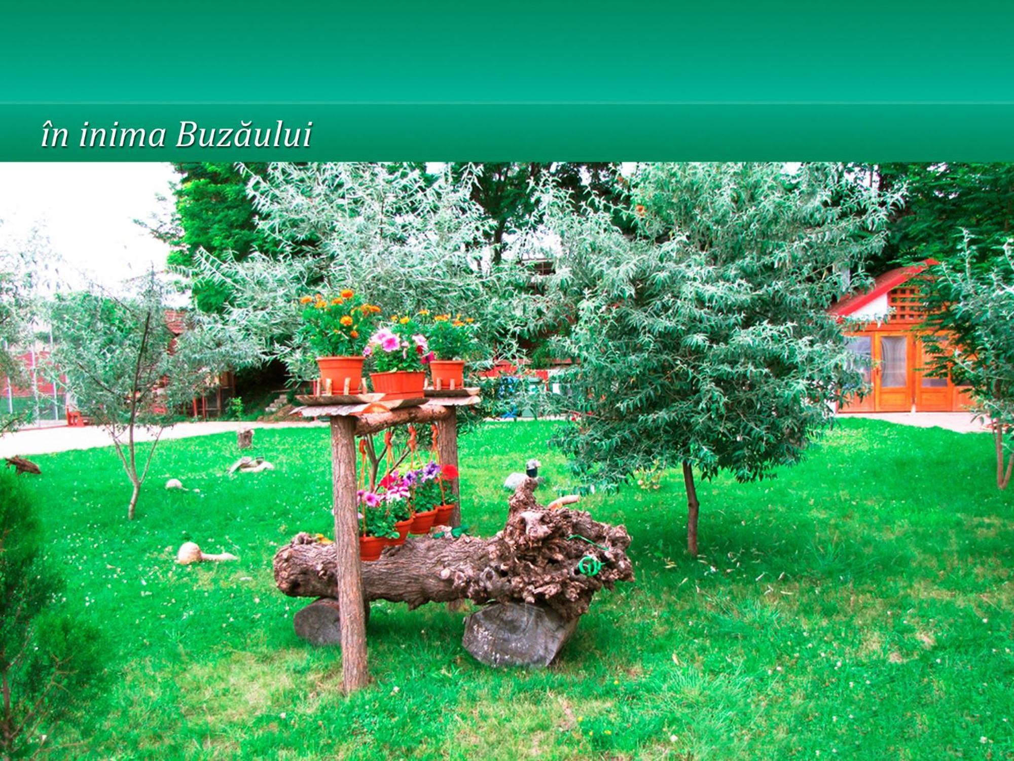 Pensiunea Casa Matei Berca Экстерьер фото
