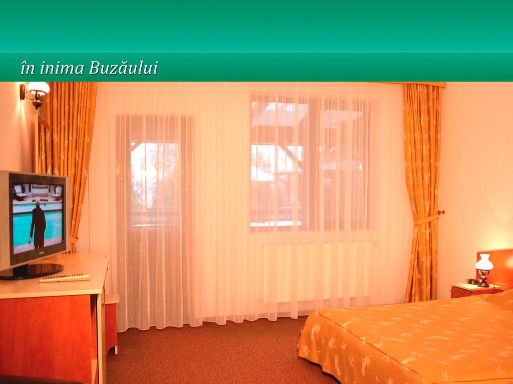 Отель Pensiunea Casa Matei Berca Номер фото