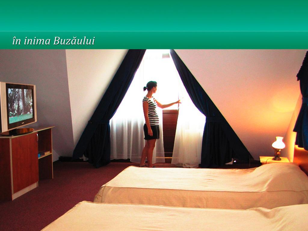 Отель Pensiunea Casa Matei Berca Номер фото