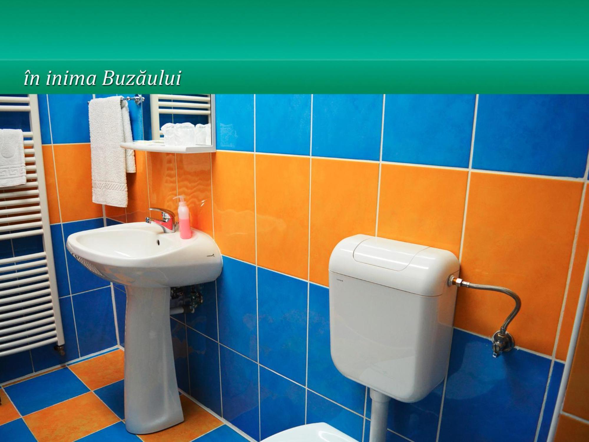 Отель Pensiunea Casa Matei Berca Экстерьер фото