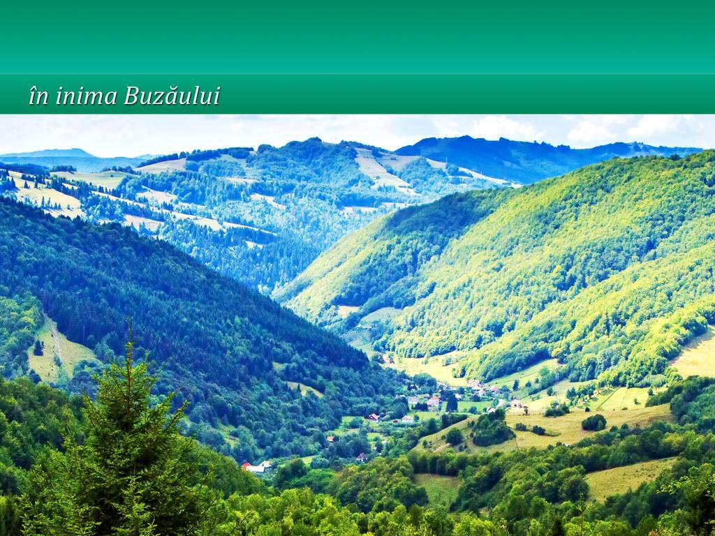 Отель Pensiunea Casa Matei Berca Экстерьер фото